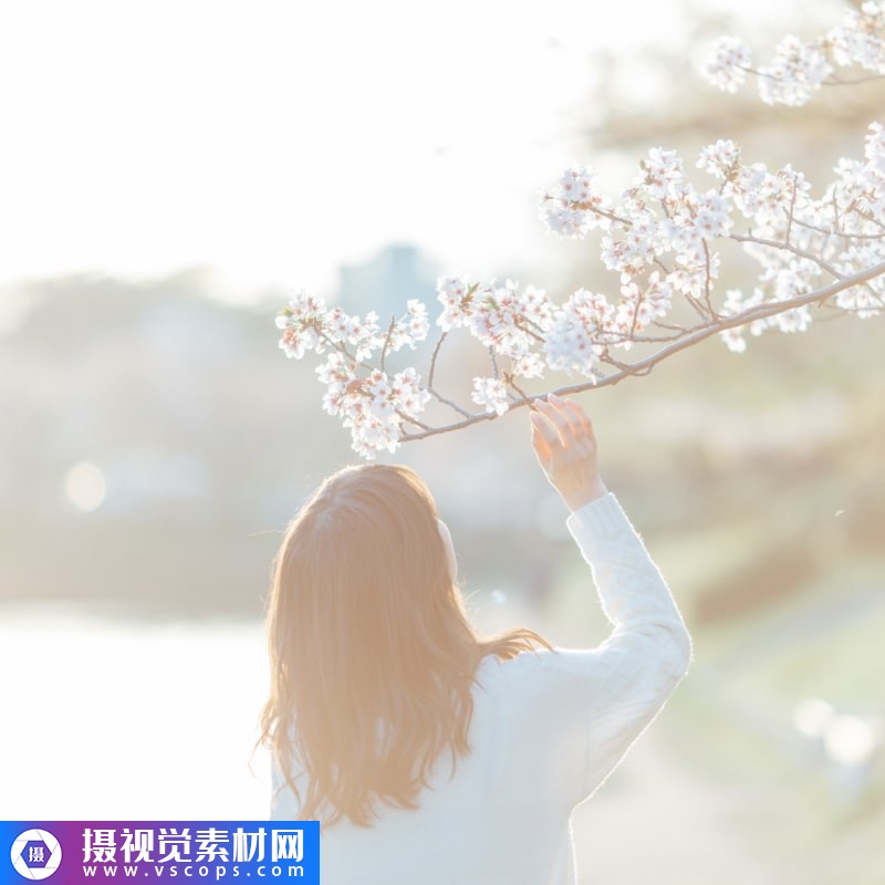 1576382028-3a290b847896786