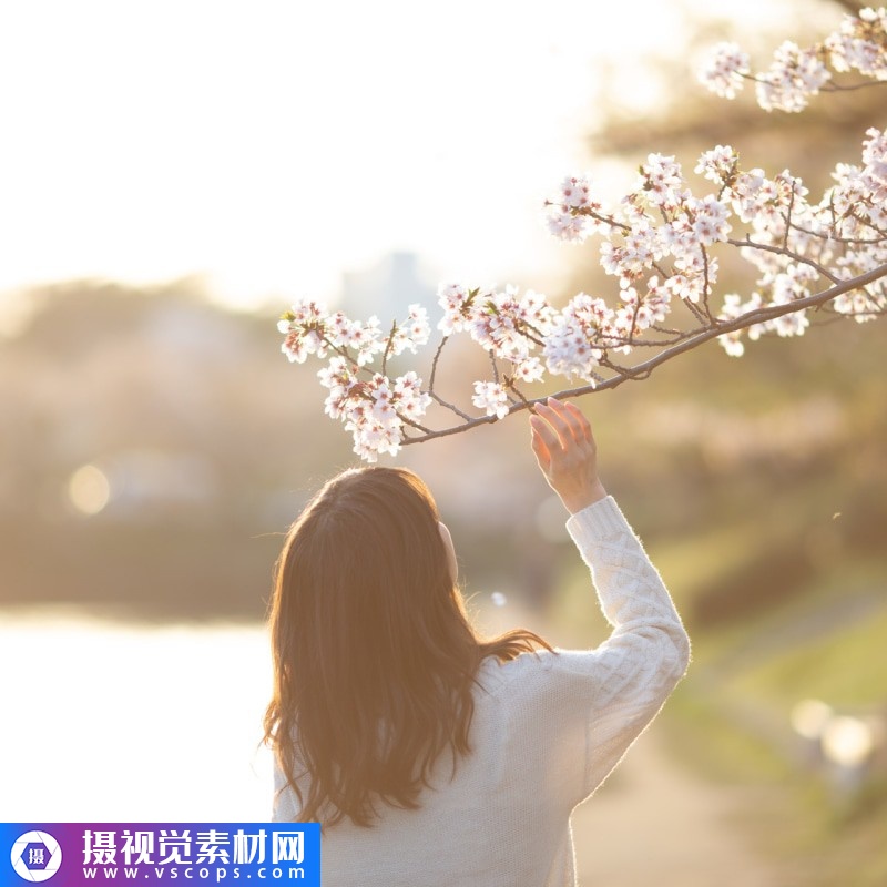 1576382029-51f2a89ea196a45