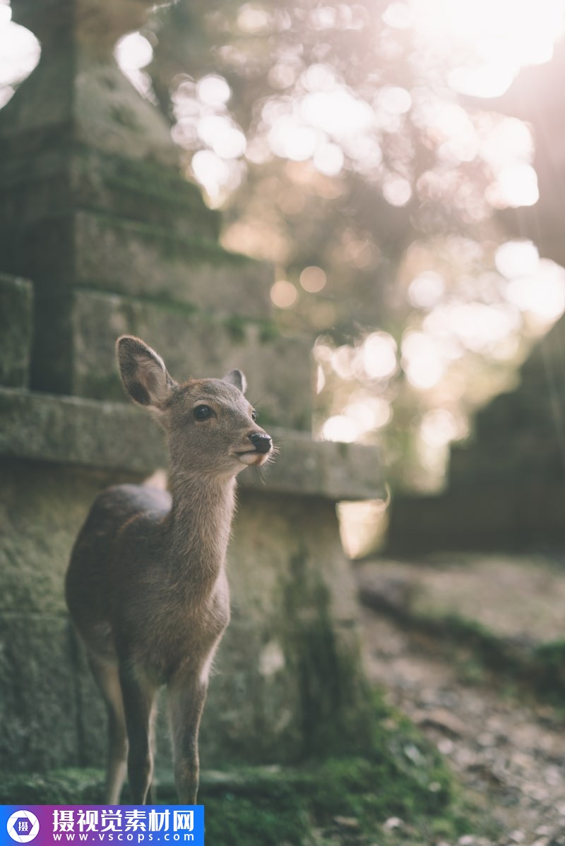 1576382778-ba5dfddebd87278