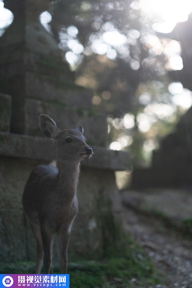 1576382782-78ee0a92e955dc2