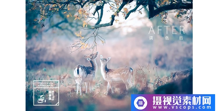 1576383276-e832e353a32aeaa