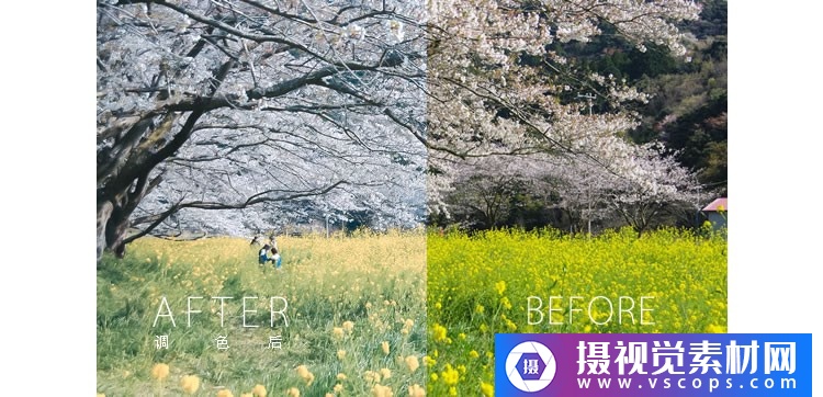 1576383282-726325260f59dbb