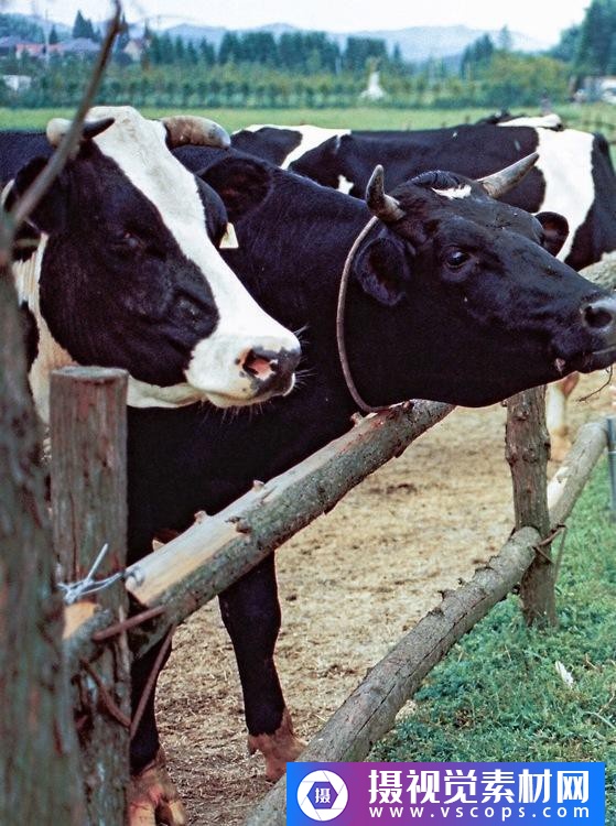 1576391806-d1581628b953728