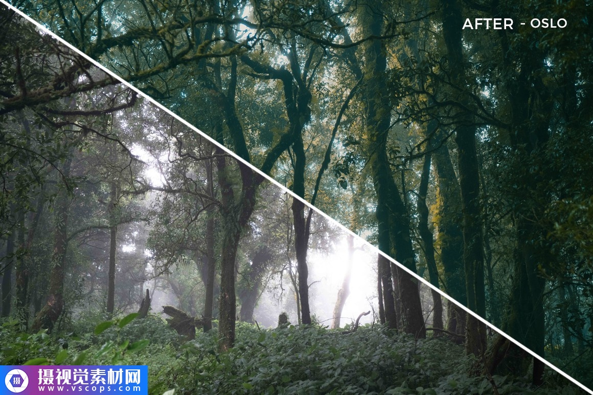 1576392168-4c986376d16c84e