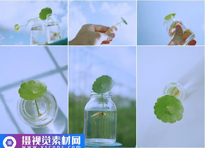 1576473144-d3a605a5f9d46db