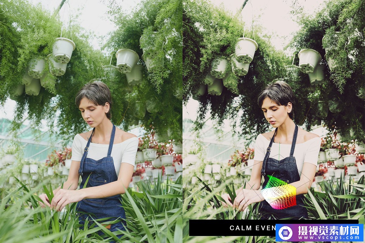 1576562103-8e5b8253c5ee4f4