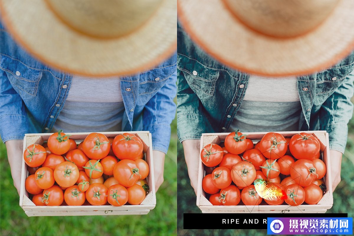 1576562109-f0c4acbaecbf1b5