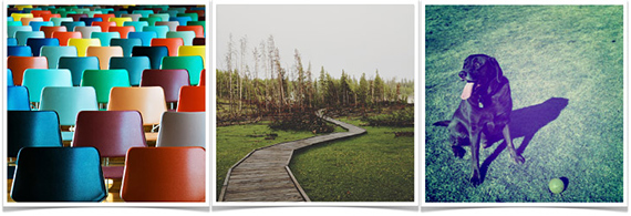 1576562770-270e474334e0861