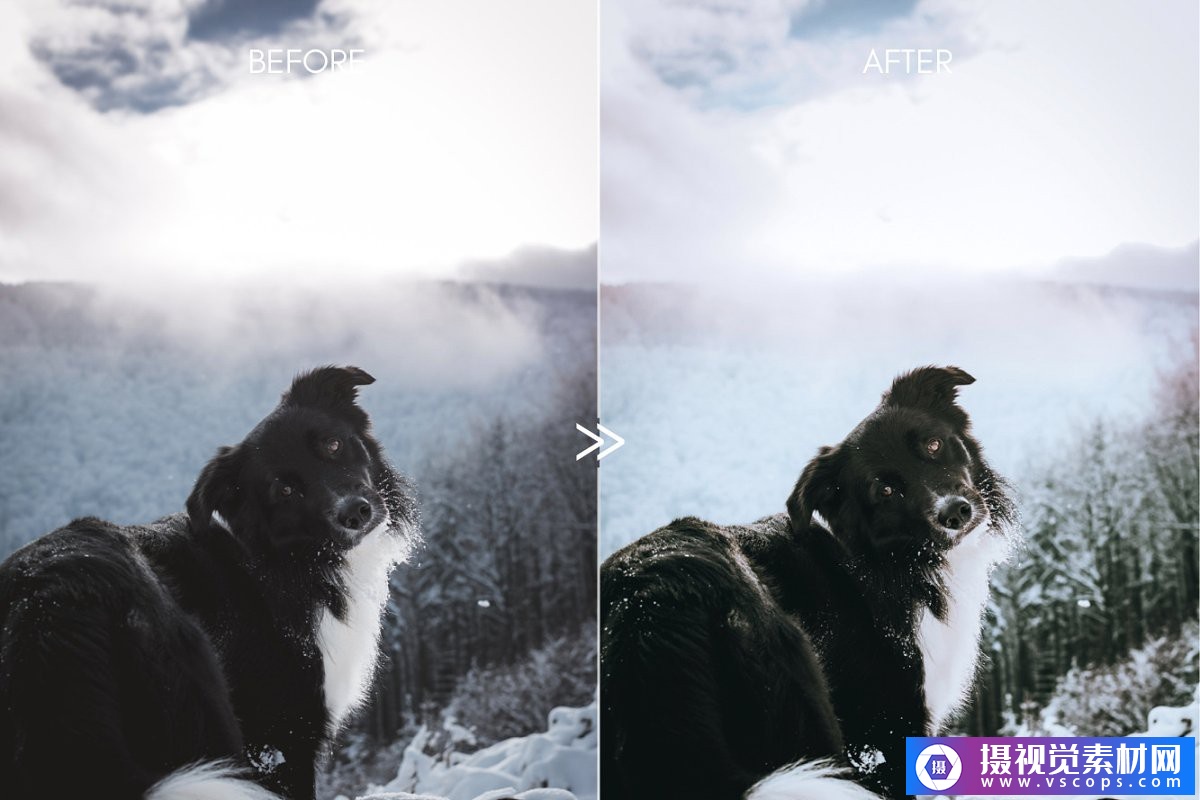 1576569111-327a90a3e2fc886