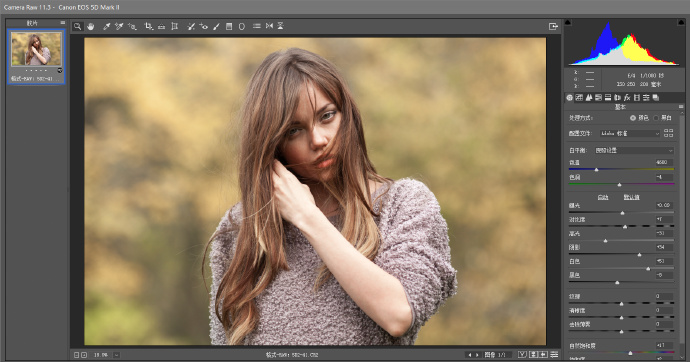 1577796590-49cce4dcc27b29a