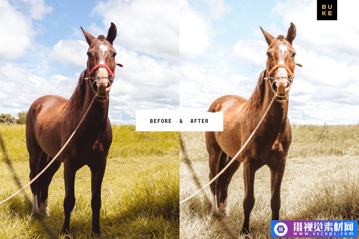 1578729002-1f977ee4ea3d03a 1578729002-1f977ee4ea3d03a