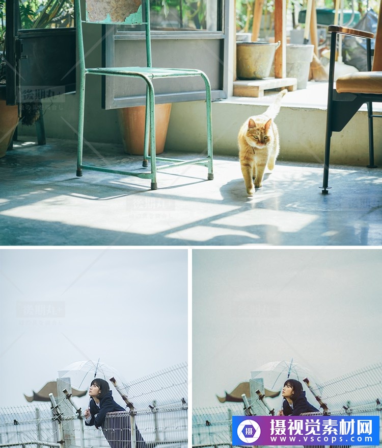 1578992726-36dec6a5093b5f9 1578992726-36dec6a5093b5f9