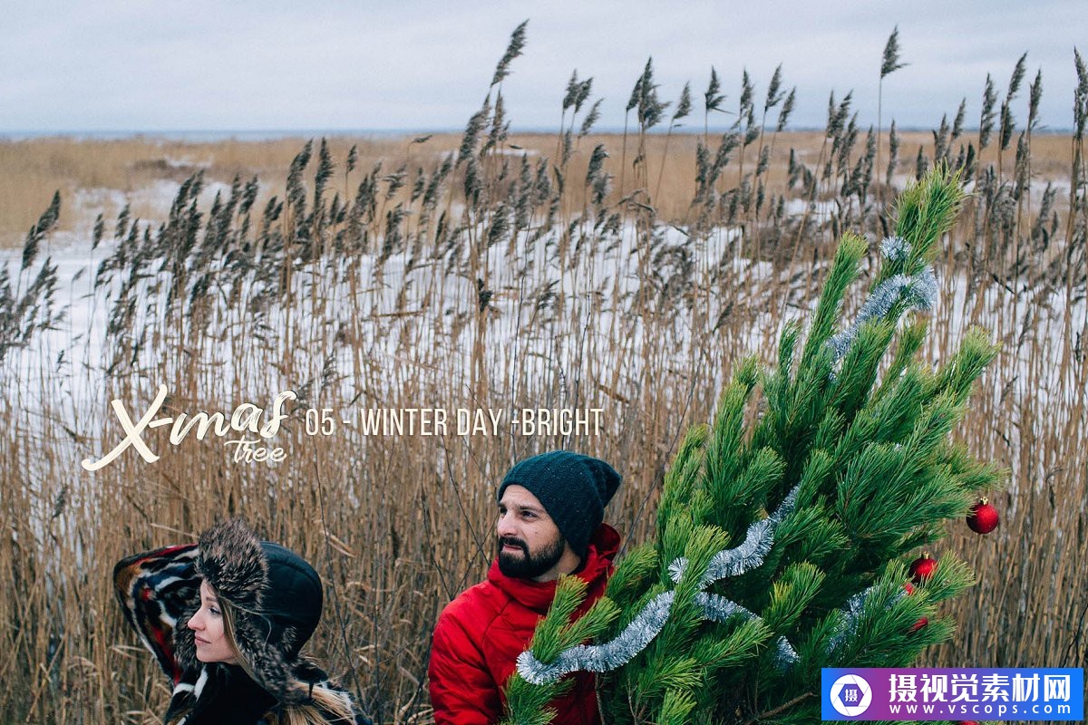 1579013072-7bfa6dcfc4018f5 1579013072-7bfa6dcfc4018f5