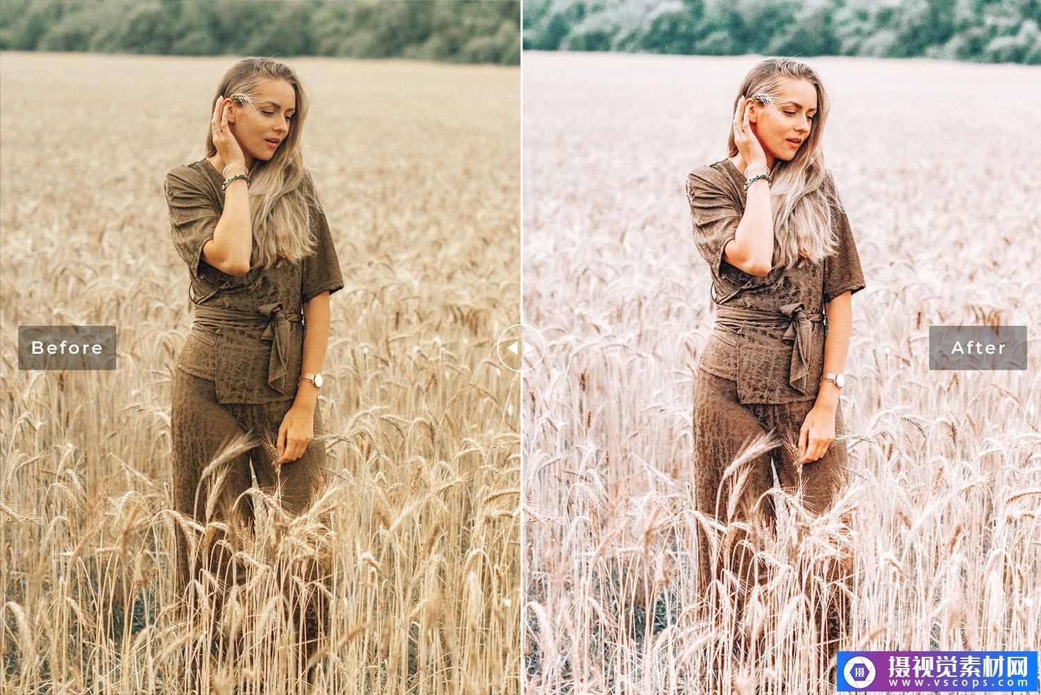 1579790738-f2709d1e5c85828 1579790738-f2709d1e5c85828