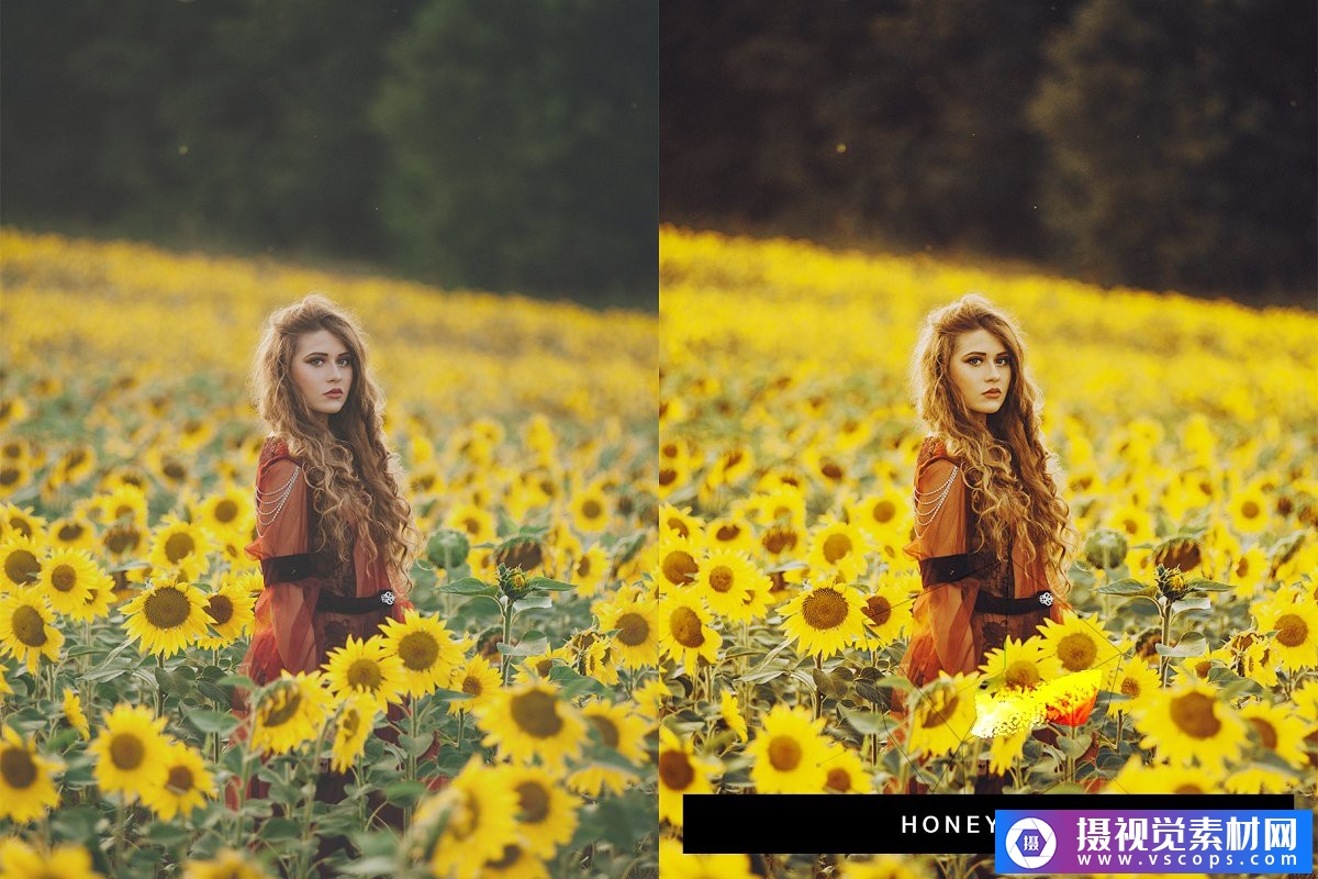 1580053778-afd8837e88daad1 1580053778-afd8837e88daad1