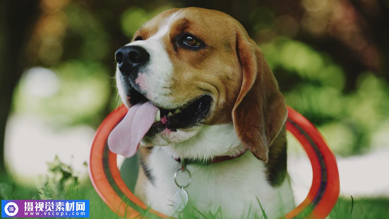 1580118583-5d439c02a3b8dc0 1580118583-5d439c02a3b8dc0