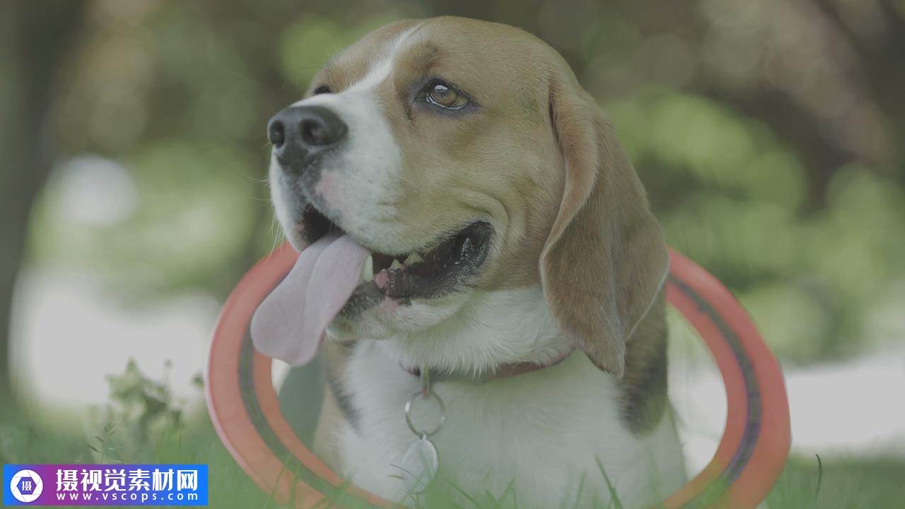 1580118583-feb3959d7ed2f75 1580118583-feb3959d7ed2f75