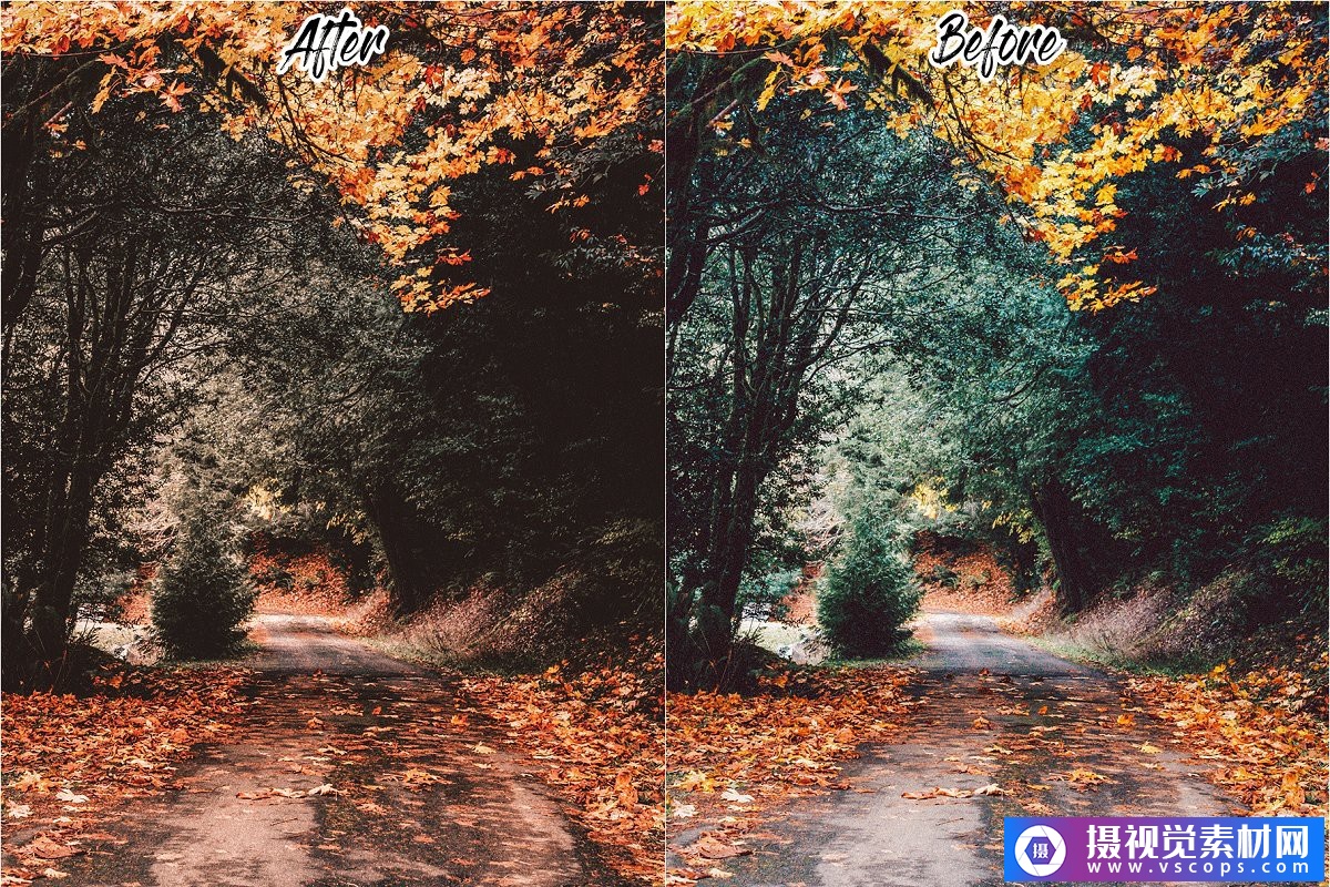 1580211982-ab2fb538c95363d 1580211982-ab2fb538c95363d