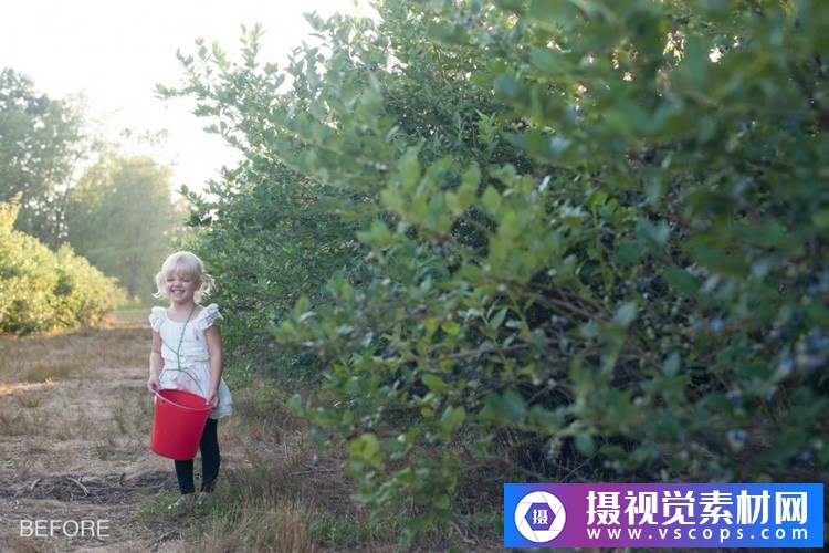 1580392570-ba75c65ed4f7b61 1580392570-ba75c65ed4f7b61