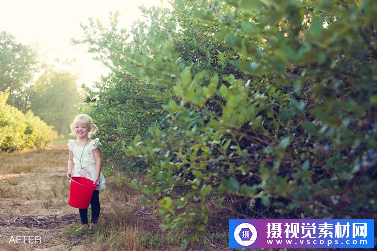 1580392571-b9a0b472f0ab3c9 1580392571-b9a0b472f0ab3c9