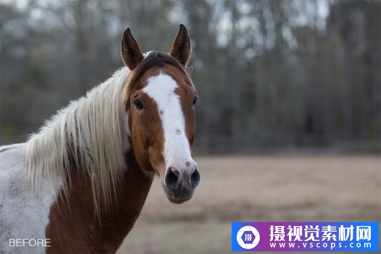 1580392572-5be79475bd21966 1580392572-5be79475bd21966