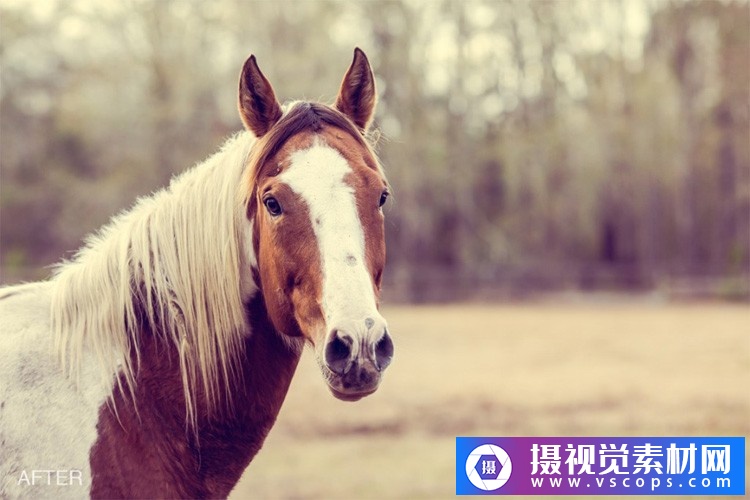 1580392574-6994ac49df4f889 1580392574-6994ac49df4f889