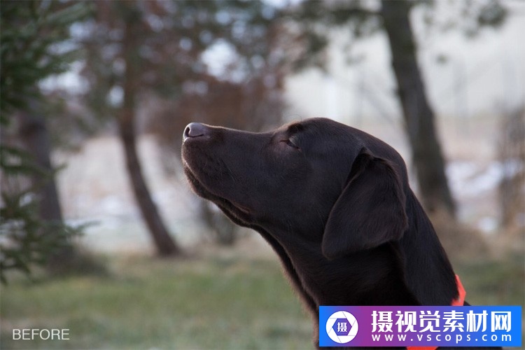 1580392577-b0c52a8f2779683 1580392577-b0c52a8f2779683