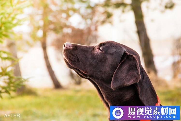 1580392578-9c851177c4f5aea 1580392578-9c851177c4f5aea