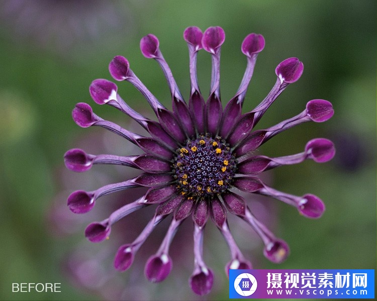 1580392603-6fd86acc07852e4 1580392603-6fd86acc07852e4