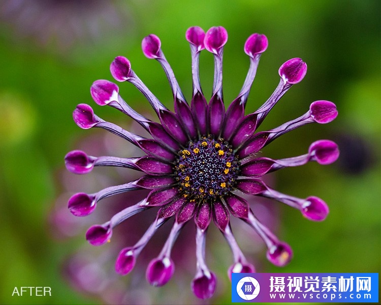 1580392605-a130d25fbf887db 1580392605-a130d25fbf887db