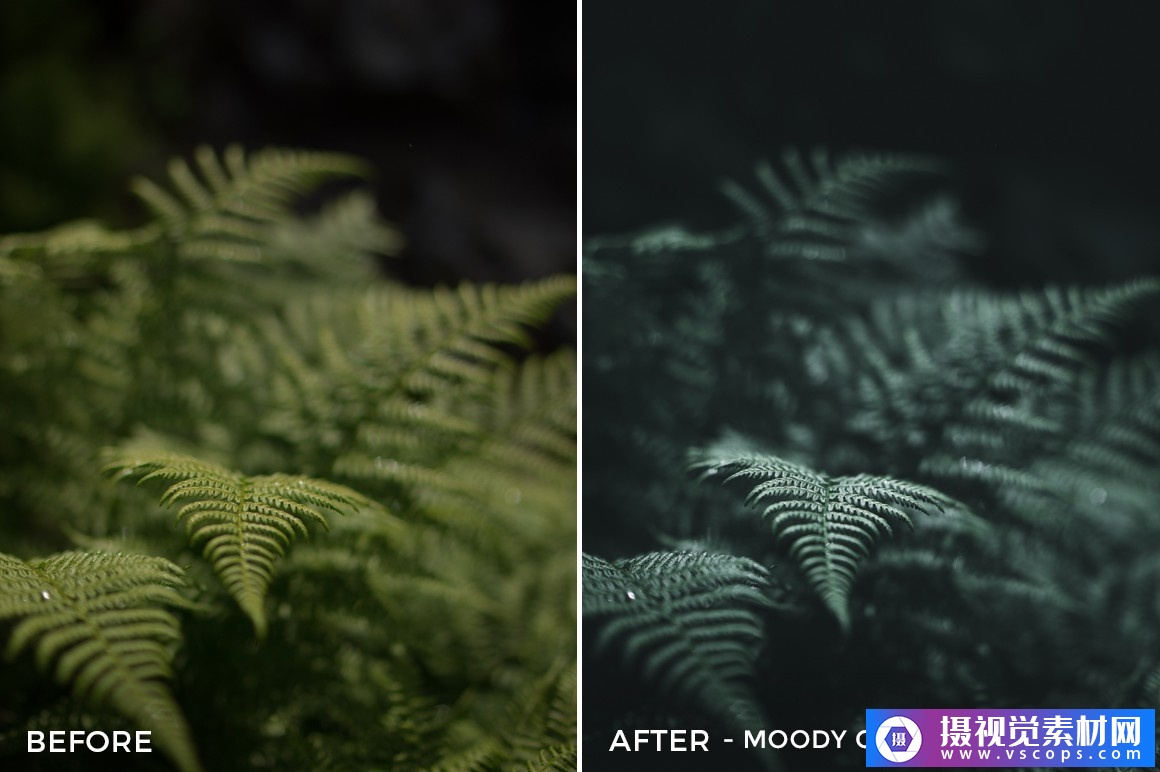 1580396042-dd2082b224b458a 1580396042-dd2082b224b458a