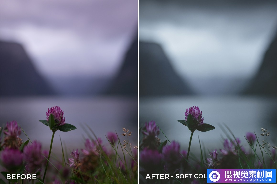 1580396056-262a0f74ae959bd 1580396056-262a0f74ae959bd