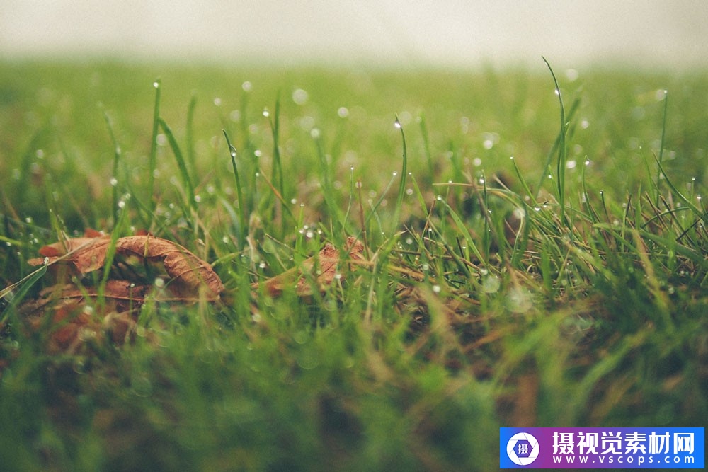 1580460845-d36168c922da333 1580460845-d36168c922da333