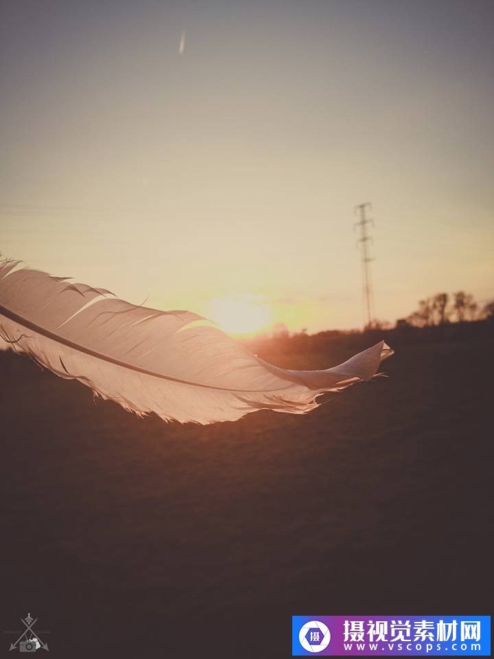 1580460851-10d822906993575 1580460851-10d822906993575