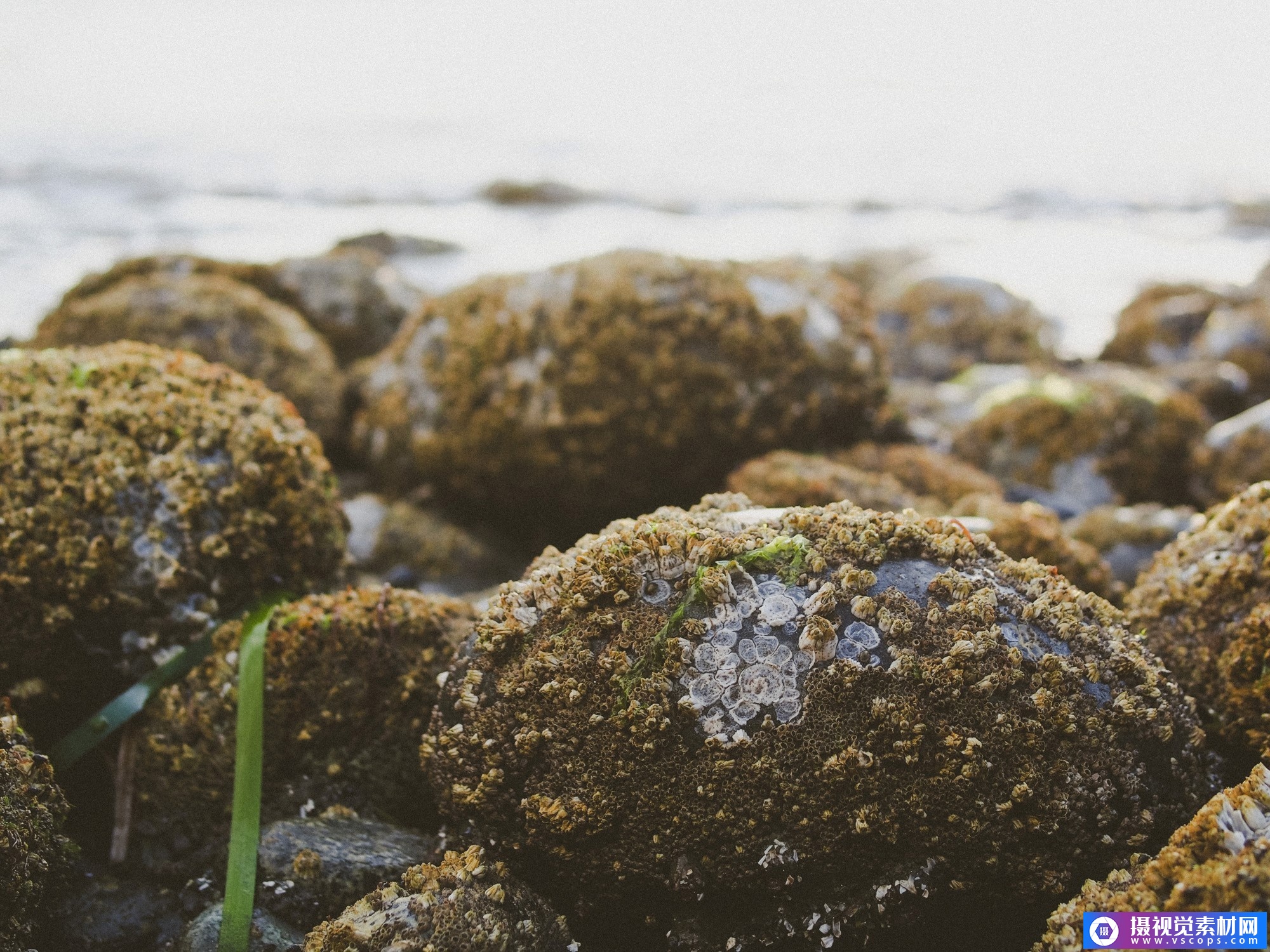 1580460852-12bf104e947a613 1580460852-12bf104e947a613