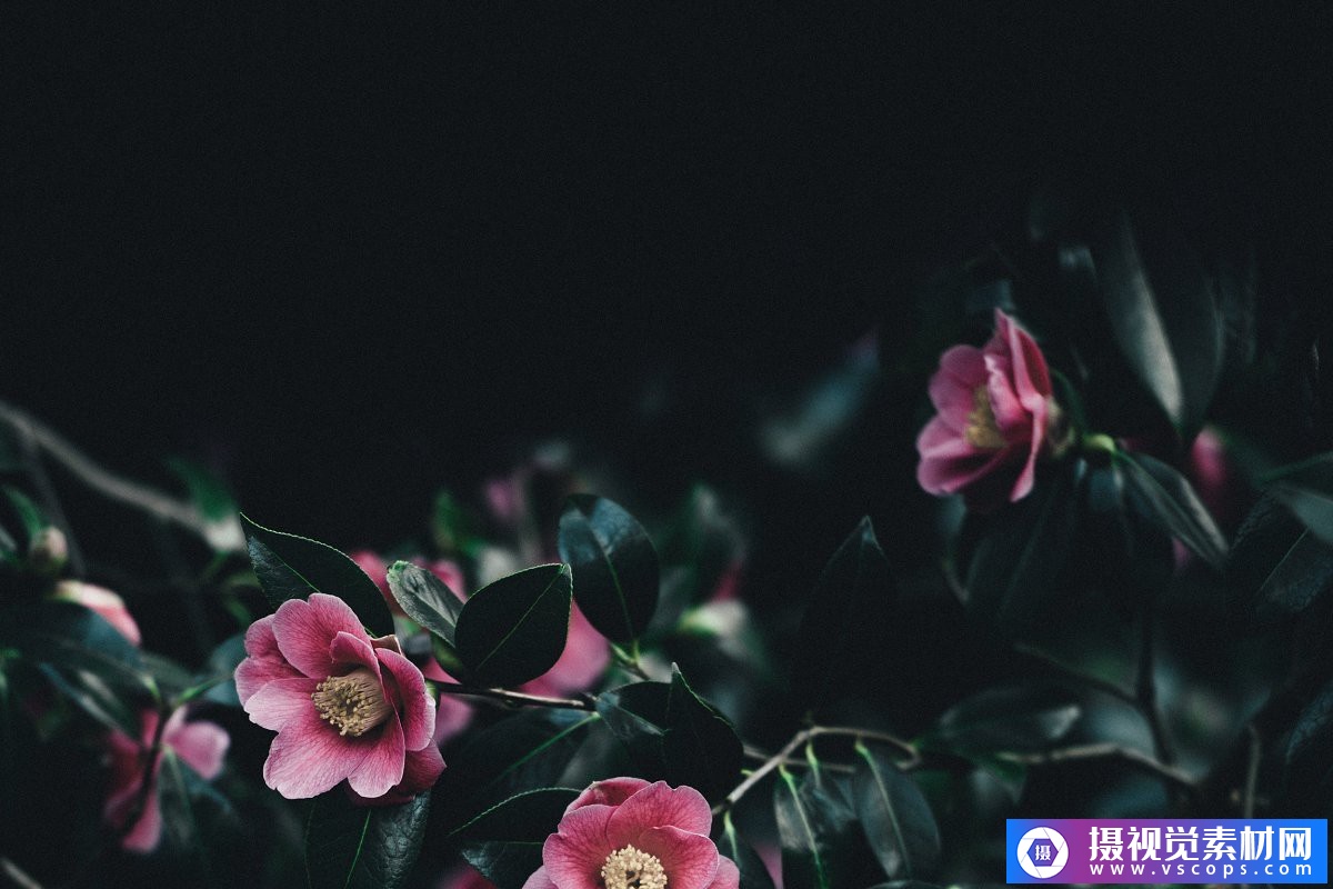 1580560041-f1223ddce39caf7 1580560041-f1223ddce39caf7