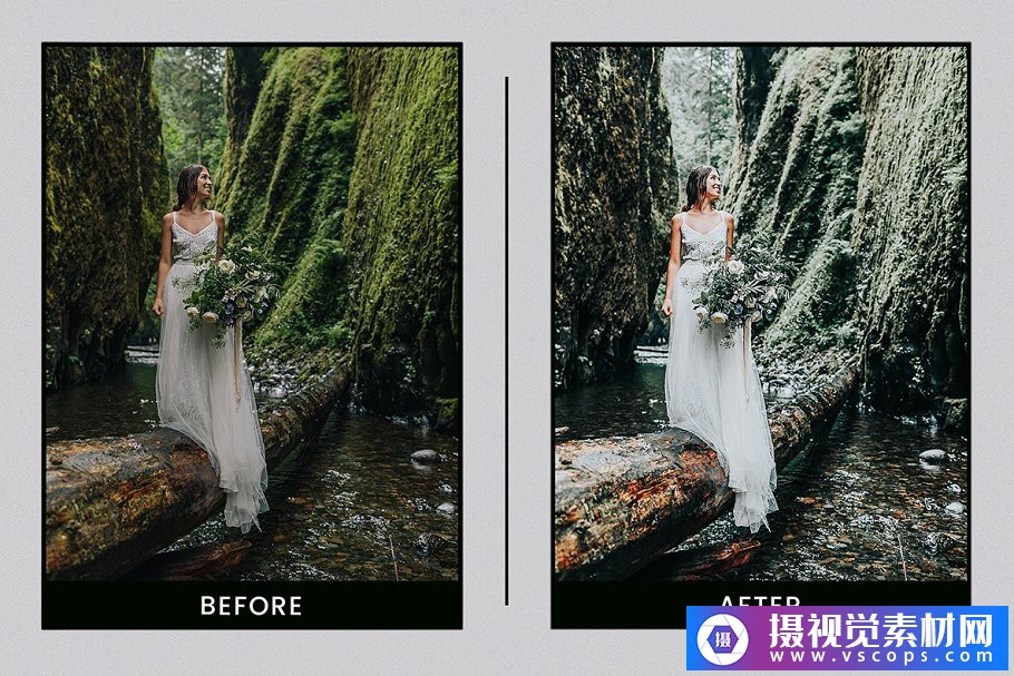 1581239461-c48234fa81bd137 1581239461-c48234fa81bd137