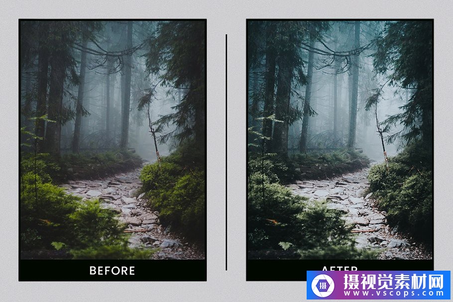 1581239462-dd976ebd660d686 1581239462-dd976ebd660d686