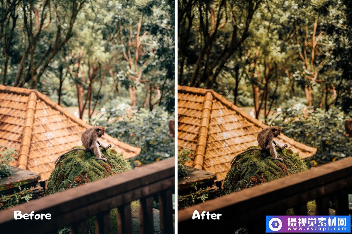 1581248718-9d1d322ff263676 1581248718-9d1d322ff263676