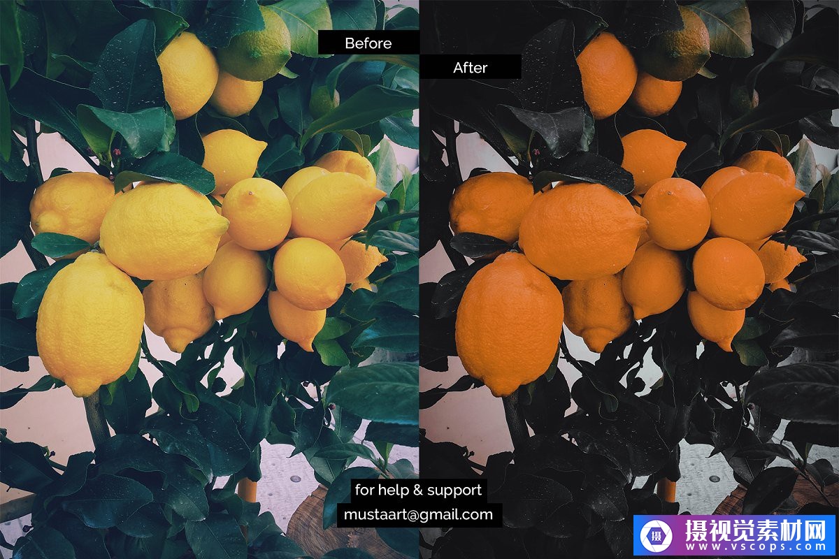 1581257422-78851957d2e26c2 1581257422-78851957d2e26c2