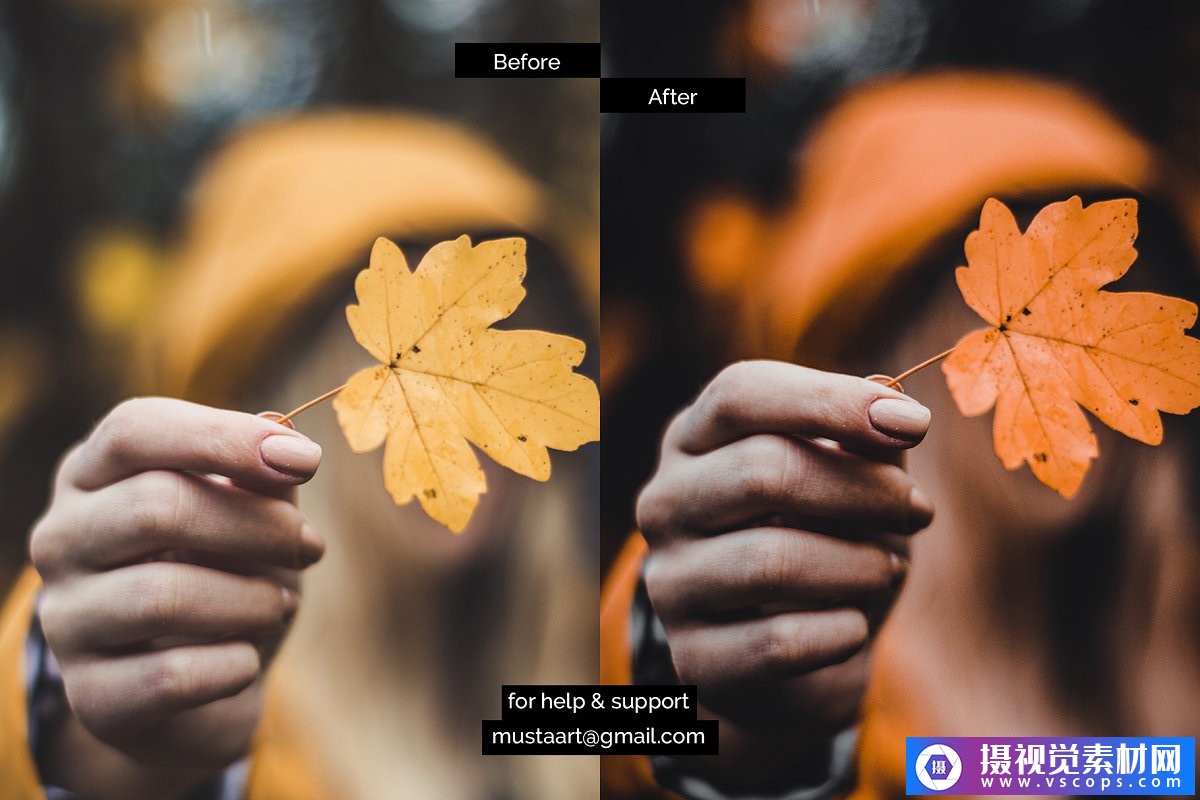 1581257426-afb84e42c04c3cc 1581257426-afb84e42c04c3cc