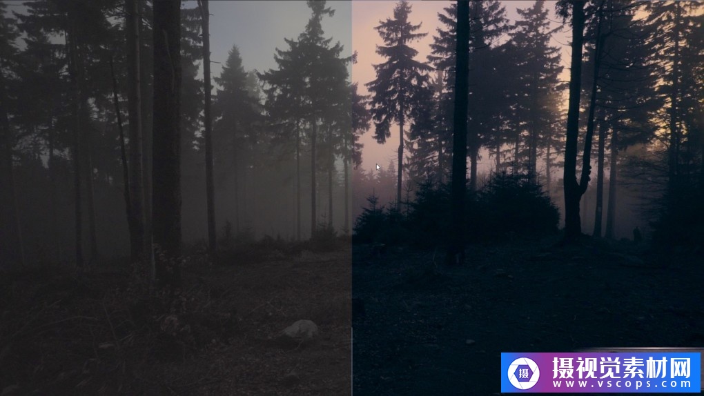 1581594498-992c356bc8fd08c 1581594498-992c356bc8fd08c