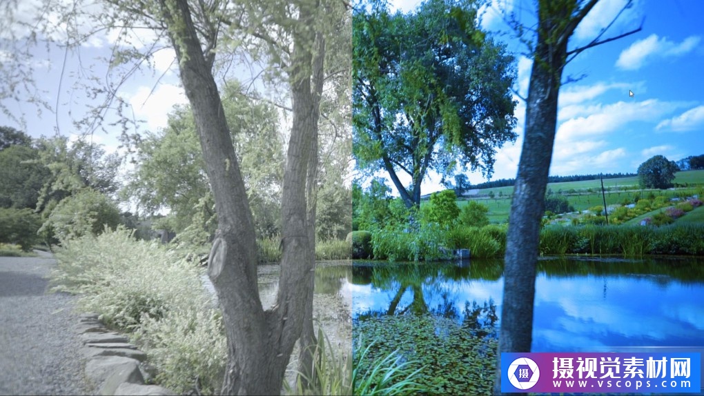 1581594502-f9c260065ded01d 1581594502-f9c260065ded01d