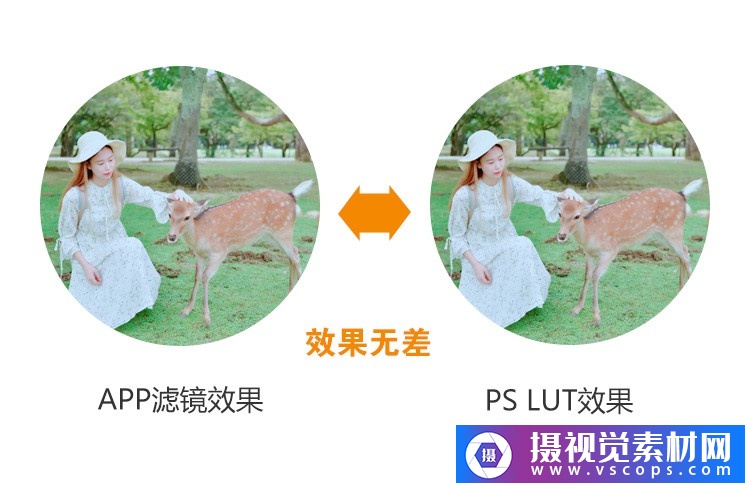 1581598355-7ccf256cf34aafd 1581598355-7ccf256cf34aafd