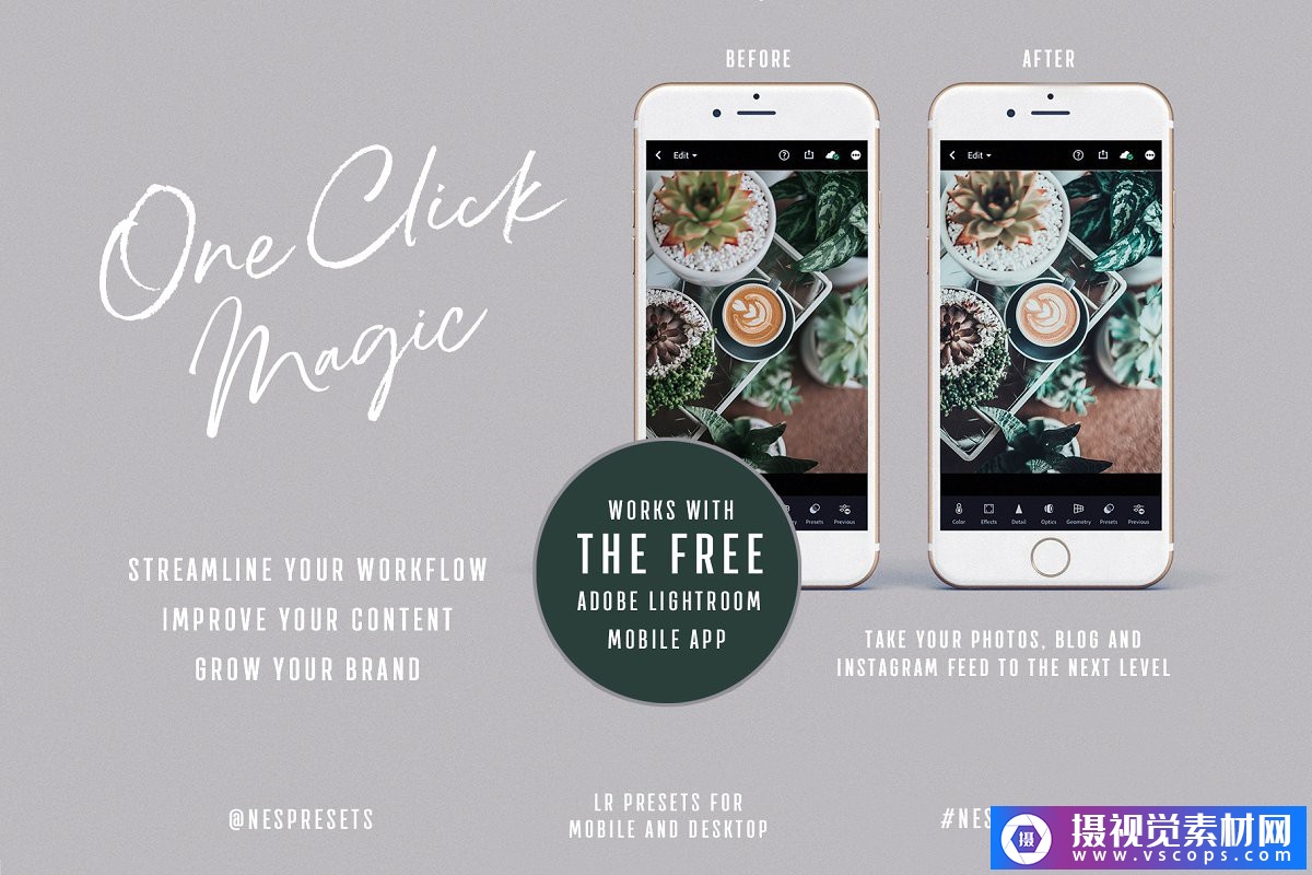 1581645713-2b8ff8d65cfcd30 1581645713-2b8ff8d65cfcd30