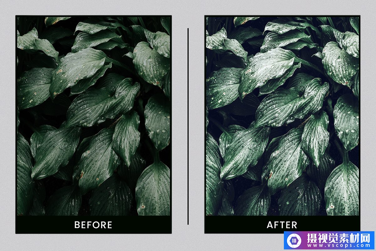 1581645719-02381957dbcb777 1581645719-02381957dbcb777