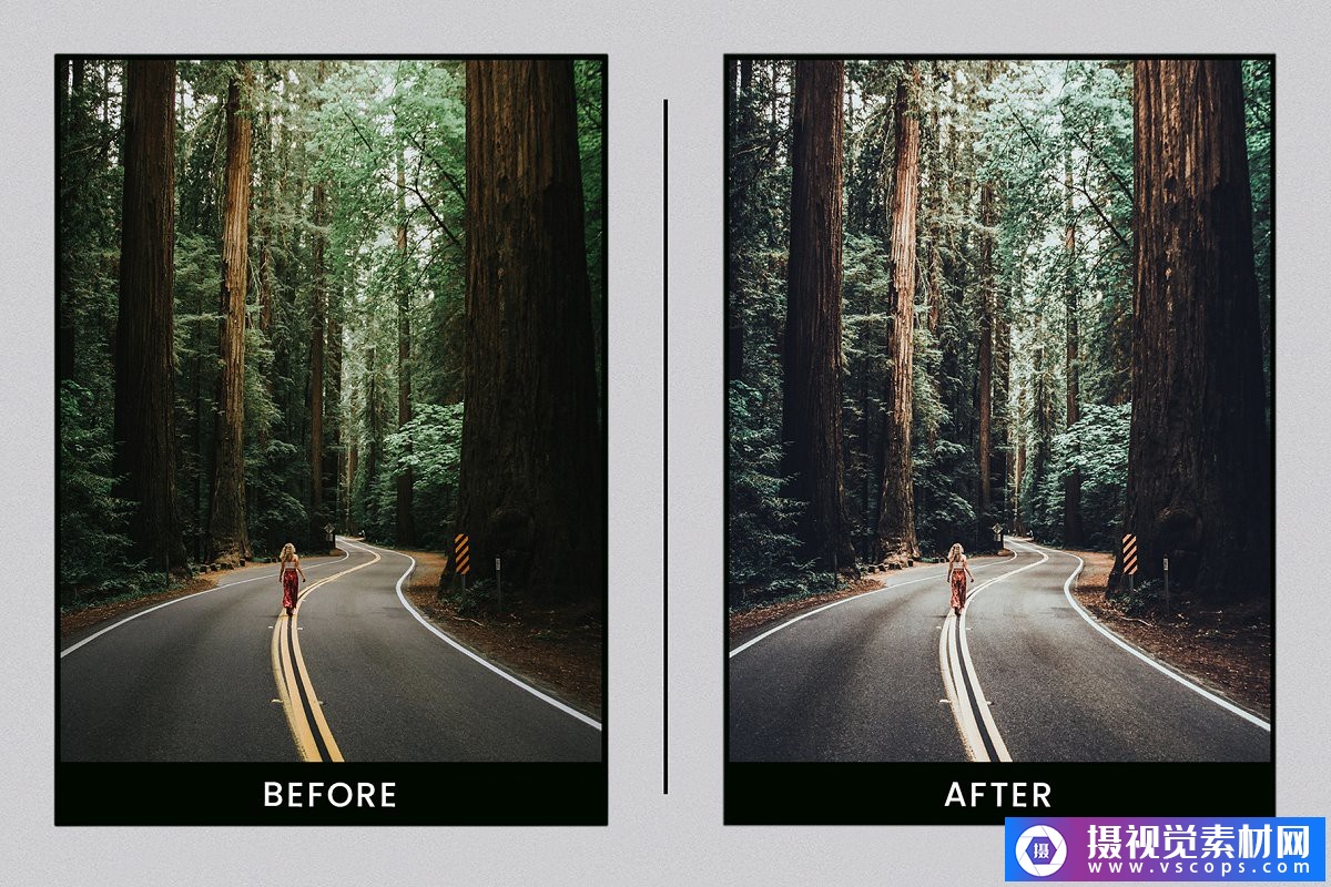 1581645721-bc94ab1c5f8024e 1581645721-bc94ab1c5f8024e