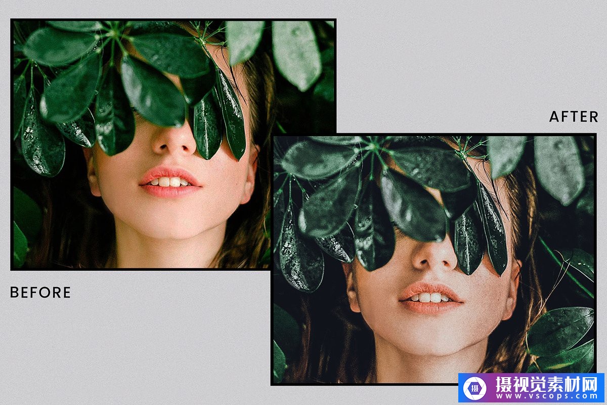 1581645728-9e3048e9331ea40 1581645728-9e3048e9331ea40