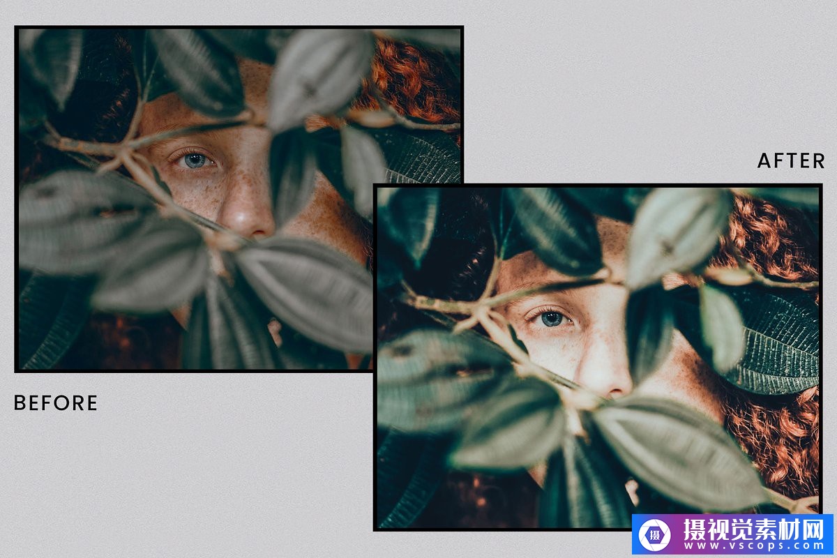 1581645743-97e2214bc597f65 1581645743-97e2214bc597f65