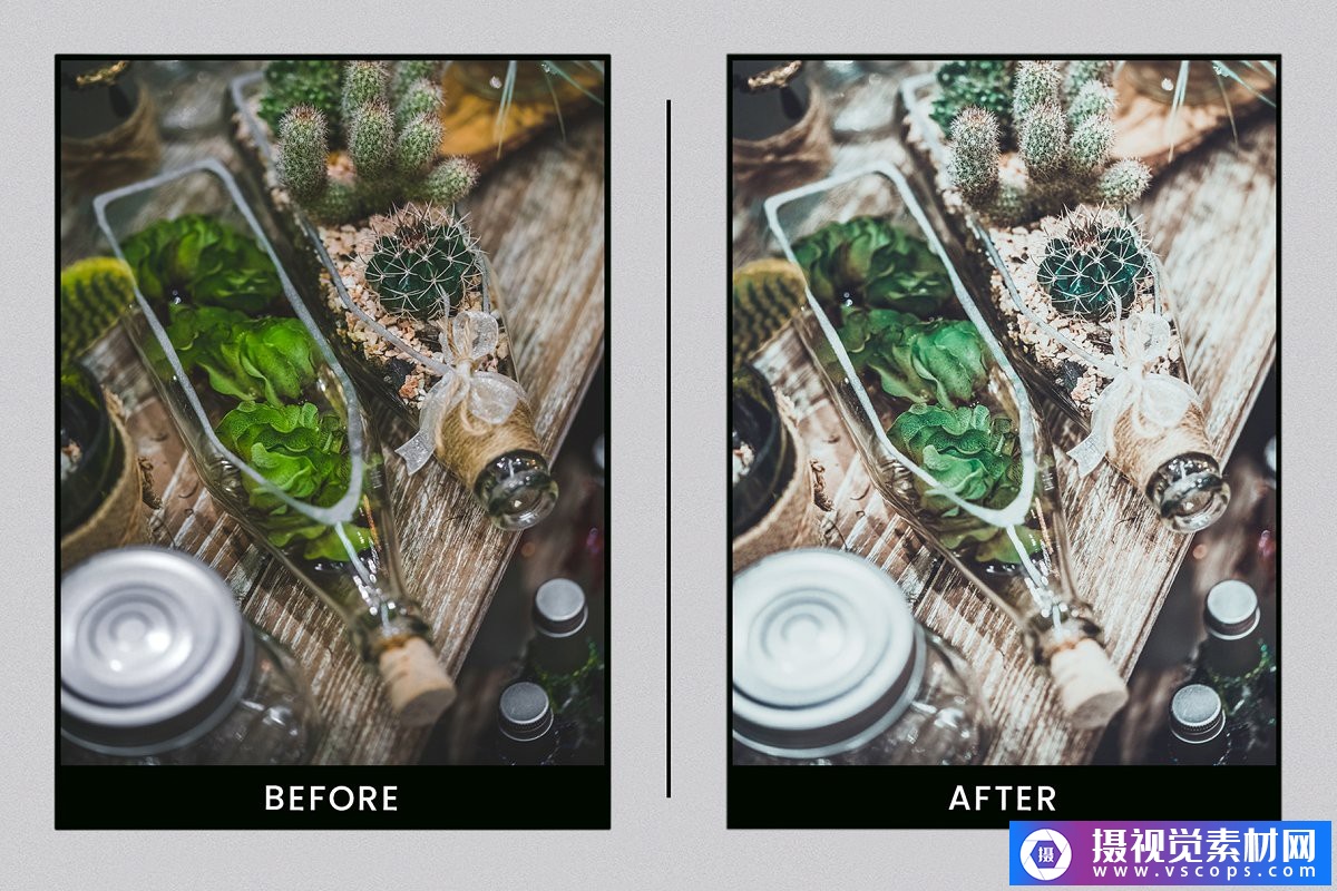 1581645750-862d4979a90a63a 1581645750-862d4979a90a63a